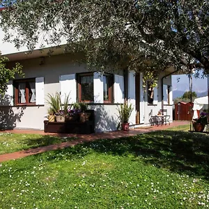 Oleandri Ameglia
